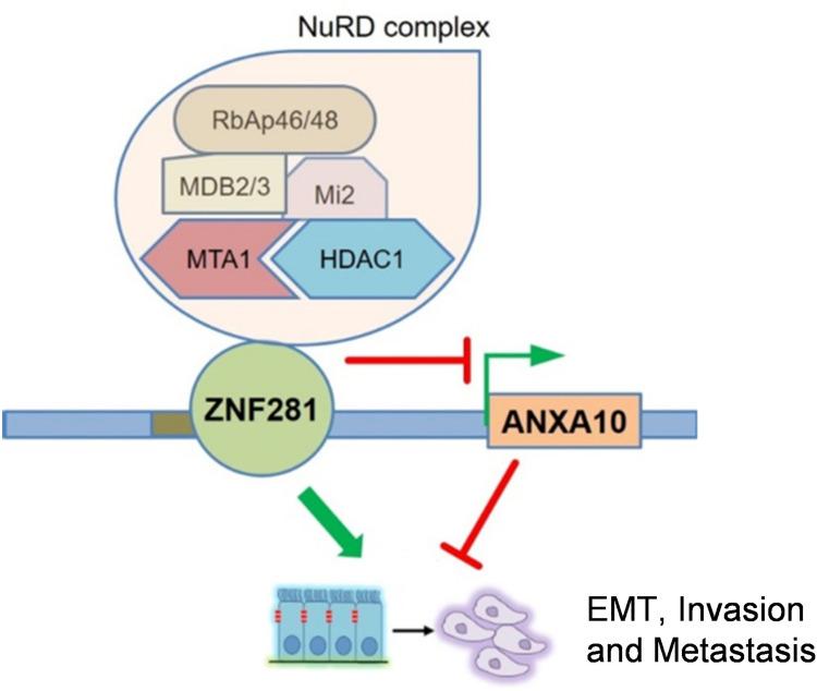 https://cdn.ncbi.nlm.nih.gov/pmc/blobs/3050/10083037/f495a6ac7d01/JHC-10-553-g0001.jpg