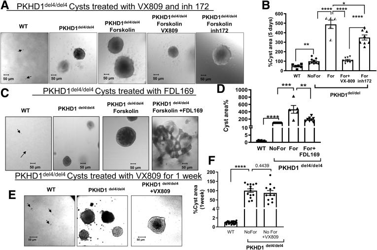 https://cdn.ncbi.nlm.nih.gov/pmc/blobs/3050/8529398/6f906f1545cf/gr2.jpg