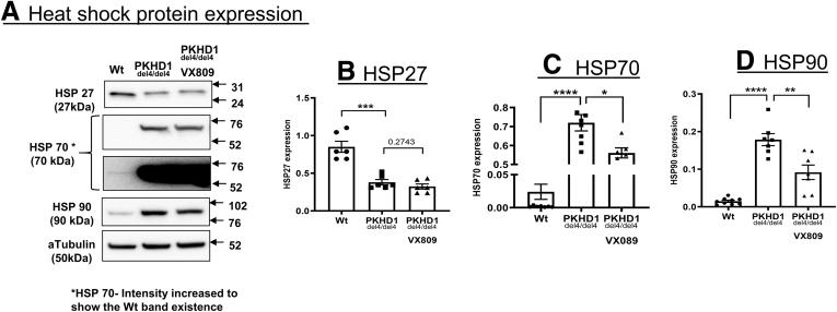 https://cdn.ncbi.nlm.nih.gov/pmc/blobs/3050/8529398/b277794955f4/gr4.jpg