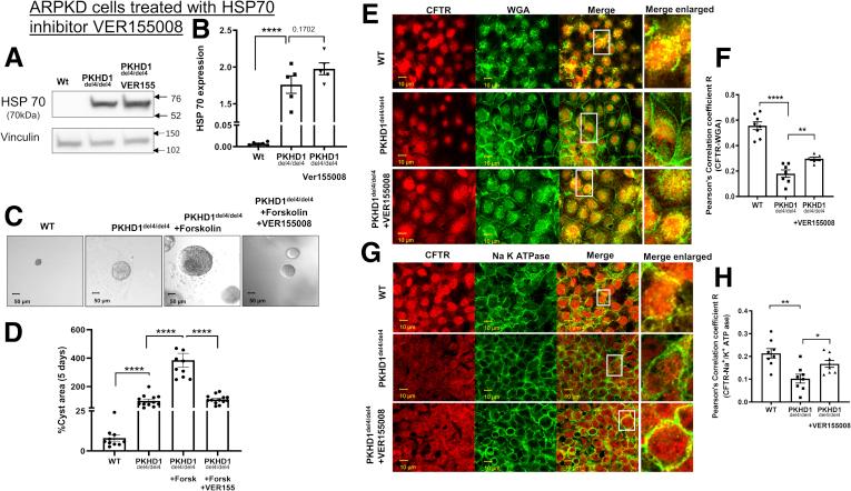 https://cdn.ncbi.nlm.nih.gov/pmc/blobs/3050/8529398/d0c52e53c041/gr8.jpg