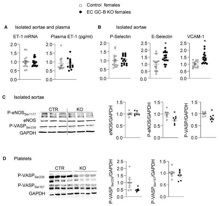 https://cdn.ncbi.nlm.nih.gov/pmc/blobs/3051/11277478/8a6f6d6cec23/ijms-25-07800-g004.jpg