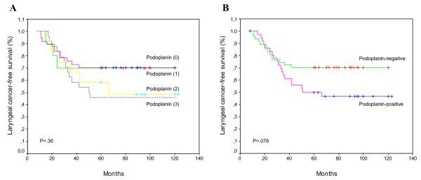 https://cdn.ncbi.nlm.nih.gov/pmc/blobs/3051/2841121/2e26d6609162/1476-4598-9-48-2.jpg