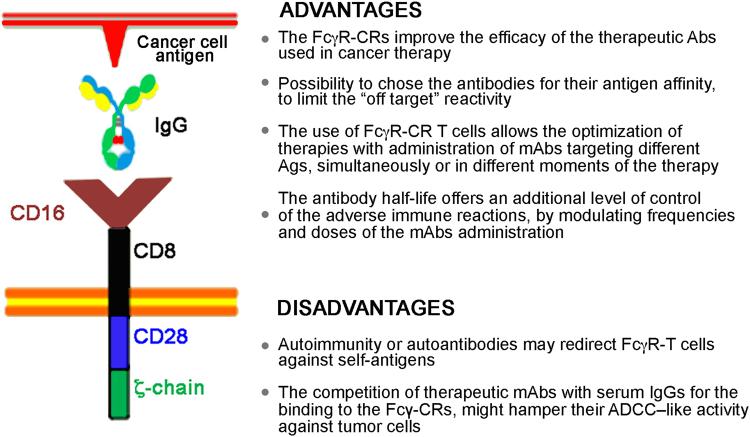 https://cdn.ncbi.nlm.nih.gov/pmc/blobs/3053/5833816/0654065a3d2c/41419_2018_278_Fig5_HTML.jpg