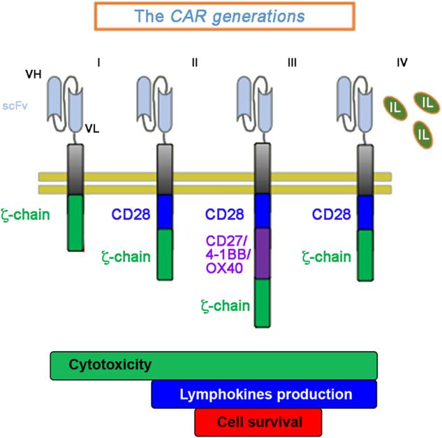 https://cdn.ncbi.nlm.nih.gov/pmc/blobs/3053/5833816/26e4a0d346b5/41419_2018_278_Fig1_HTML.jpg