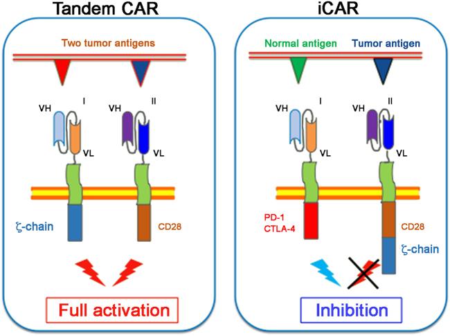 https://cdn.ncbi.nlm.nih.gov/pmc/blobs/3053/5833816/5d4ab595e841/41419_2018_278_Fig2_HTML.jpg