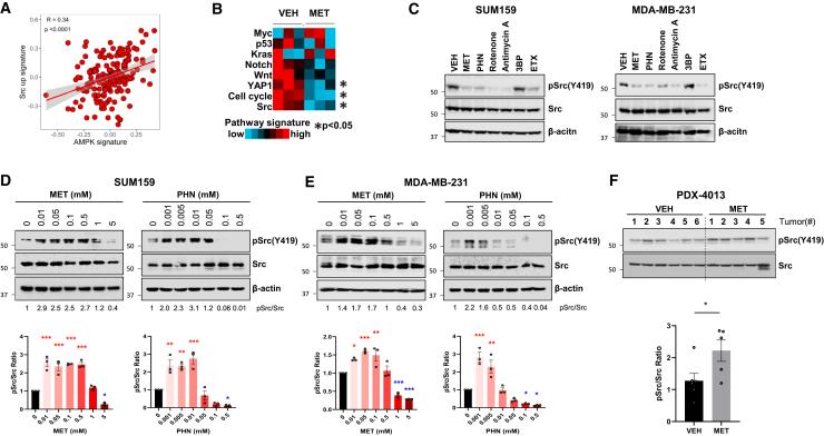 https://cdn.ncbi.nlm.nih.gov/pmc/blobs/3054/11866546/285b28878042/gr5.jpg
