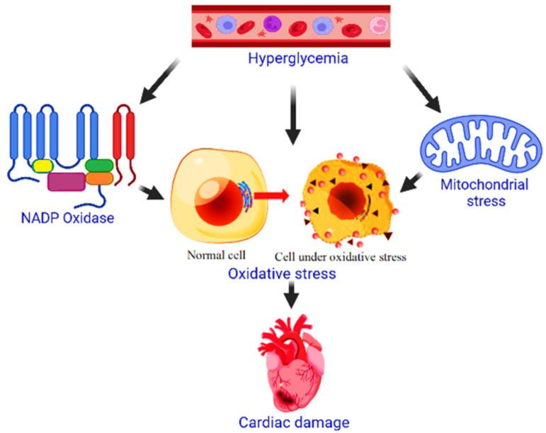 https://cdn.ncbi.nlm.nih.gov/pmc/blobs/3054/9782005/b4d90d8b0643/metabolites-12-01274-g002.jpg