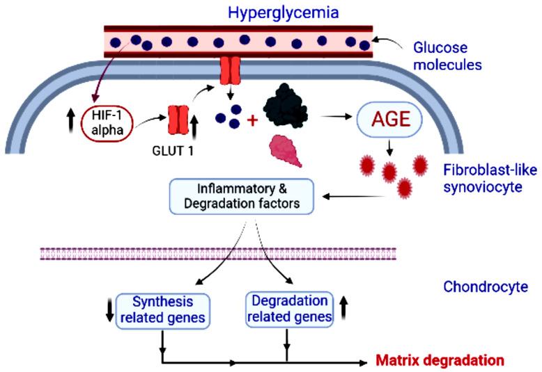 https://cdn.ncbi.nlm.nih.gov/pmc/blobs/3054/9782005/b5b7f3363001/metabolites-12-01274-g003.jpg