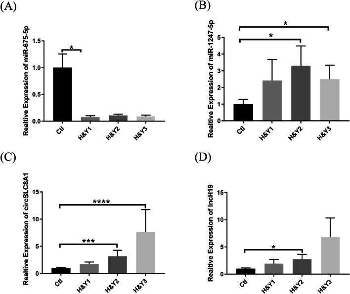 https://cdn.ncbi.nlm.nih.gov/pmc/blobs/3055/10765853/255991794325/11658_2023_516_Fig4_HTML.jpg