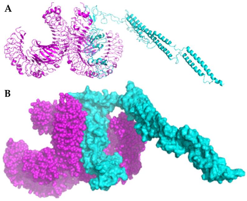 https://cdn.ncbi.nlm.nih.gov/pmc/blobs/3055/12385595/c55e7f4ac78f/diseases-13-00259-g007.jpg