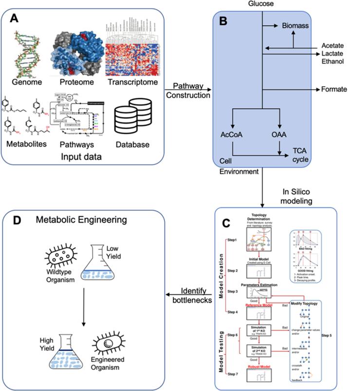 https://cdn.ncbi.nlm.nih.gov/pmc/blobs/3055/7672317/982fd59c314a/gr1.jpg