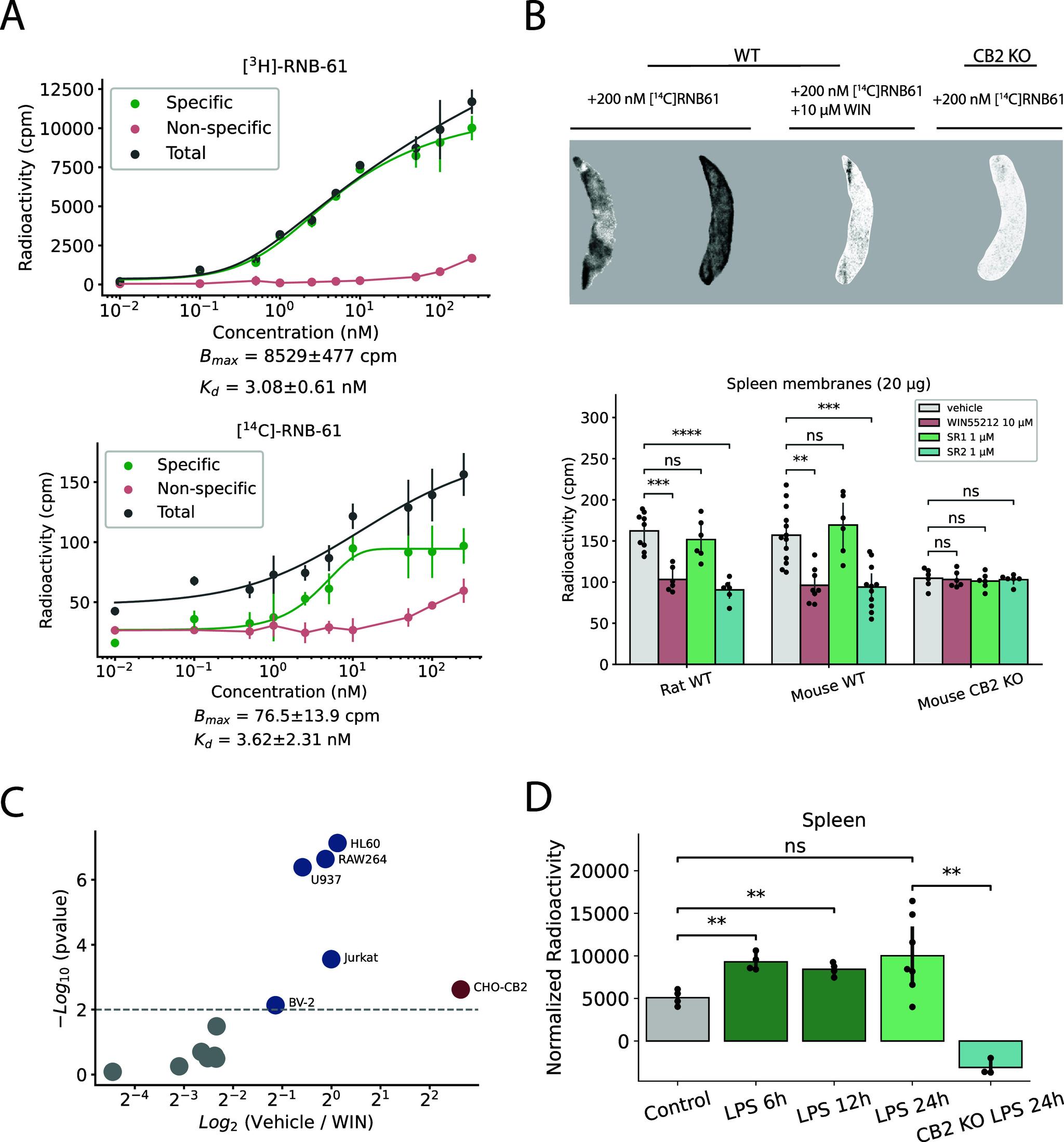 https://cdn.ncbi.nlm.nih.gov/pmc/blobs/3056/11320734/b05f73acd5a6/pt4c00269_0003.jpg