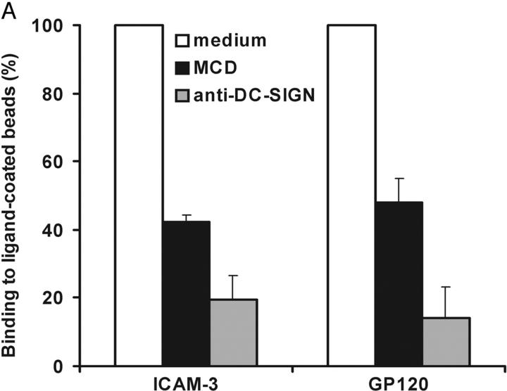 https://cdn.ncbi.nlm.nih.gov/pmc/blobs/3056/2171967/4f51ada7c85b/200306112f5a.jpg