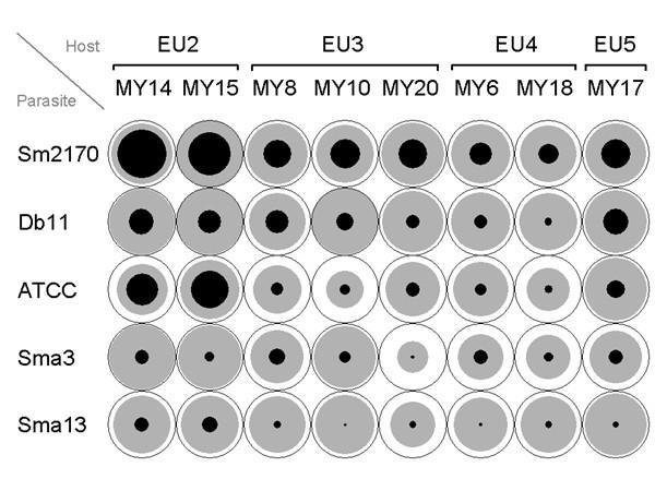https://cdn.ncbi.nlm.nih.gov/pmc/blobs/3058/538262/22a1abc81f64/1471-2148-4-49-1.jpg