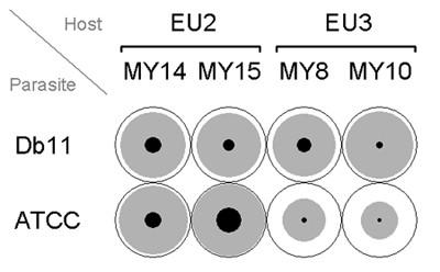 https://cdn.ncbi.nlm.nih.gov/pmc/blobs/3058/538262/7bcdf521d829/1471-2148-4-49-2.jpg