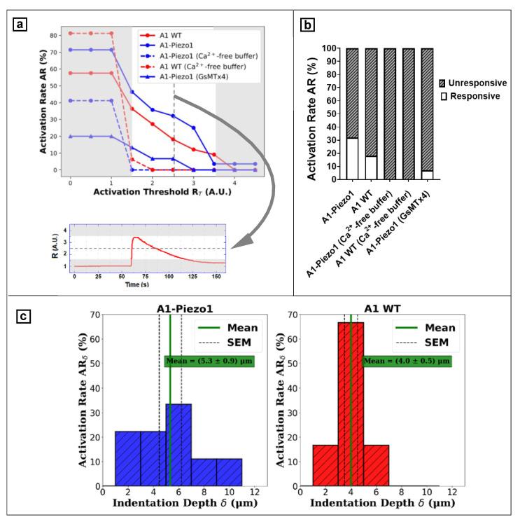 https://cdn.ncbi.nlm.nih.gov/pmc/blobs/3059/9370482/1c74f7d36c82/nanomaterials-12-02691-g006.jpg