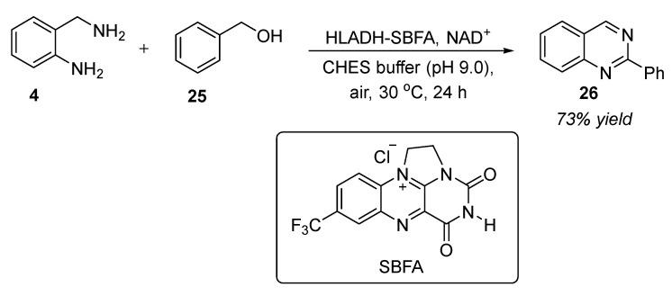 https://cdn.ncbi.nlm.nih.gov/pmc/blobs/305a/10147101/b30e42769e07/molecules-28-03227-sch012.jpg
