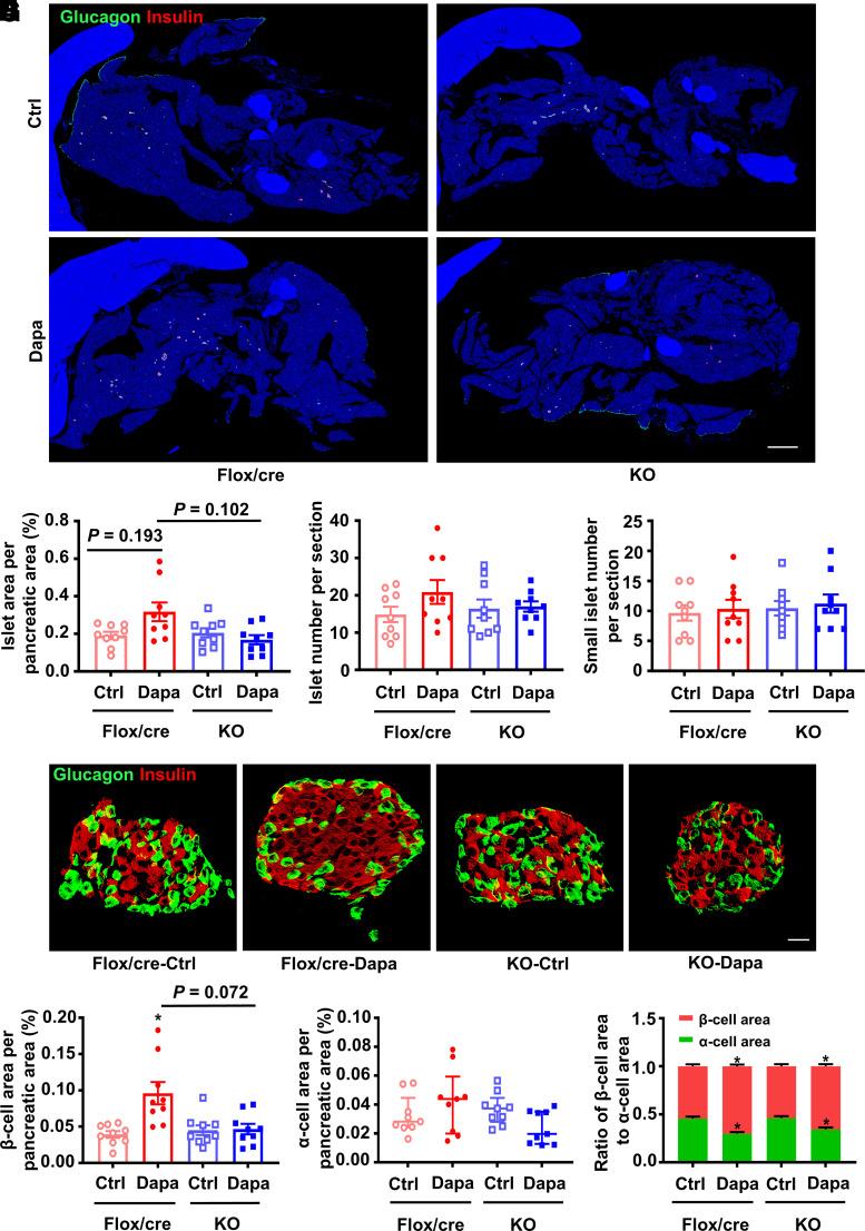 https://cdn.ncbi.nlm.nih.gov/pmc/blobs/305b/11109800/750606f5585e/db230553f7.jpg