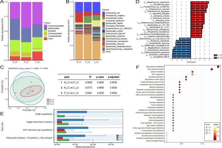 https://cdn.ncbi.nlm.nih.gov/pmc/blobs/305b/12172456/544bb66c96ea/msystems.00198-25.f003.jpg