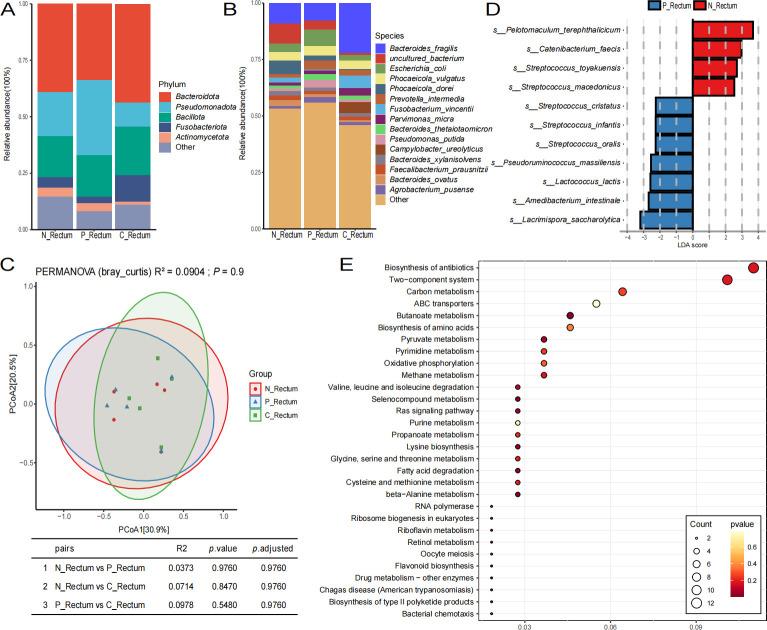 https://cdn.ncbi.nlm.nih.gov/pmc/blobs/305b/12172456/807f7ba56cee/msystems.00198-25.f005.jpg
