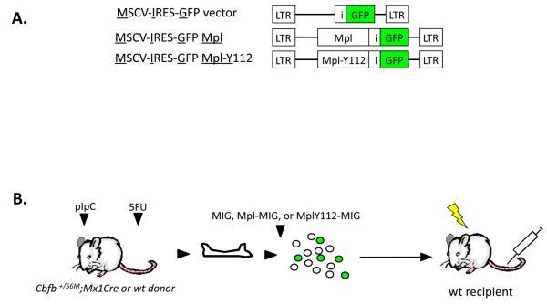 https://cdn.ncbi.nlm.nih.gov/pmc/blobs/305b/3076538/95e96bba3e9a/nihms-245943-f0004.jpg