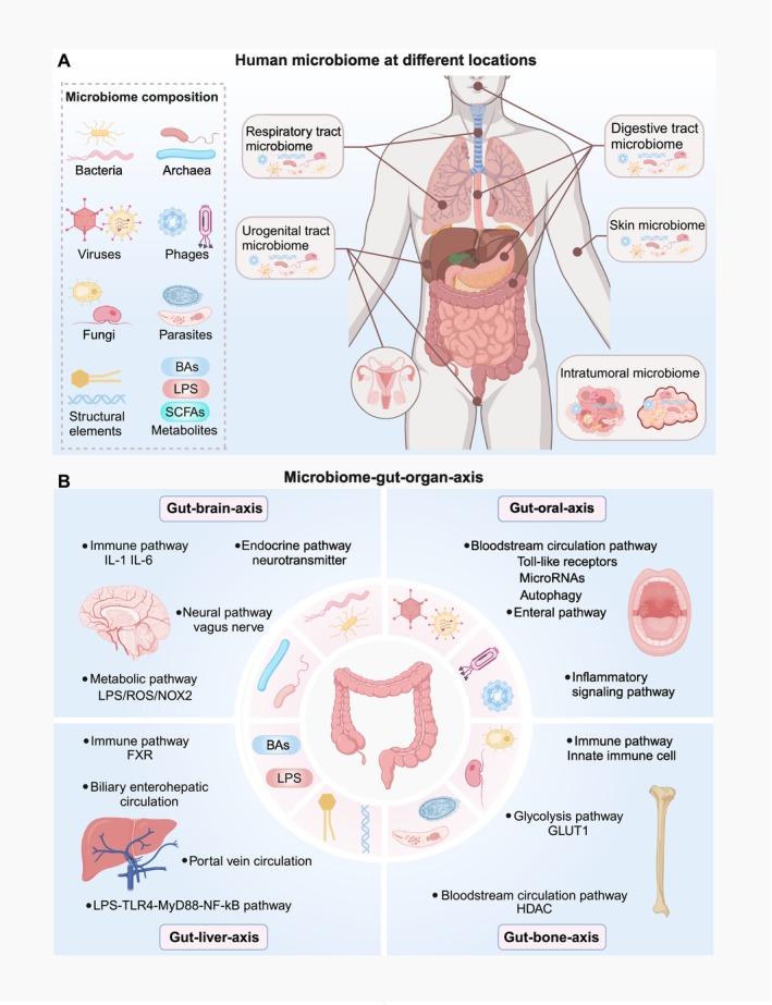 https://cdn.ncbi.nlm.nih.gov/pmc/blobs/305c/12373584/ed5a10425ba5/CPH4-15-e70042-g004.jpg