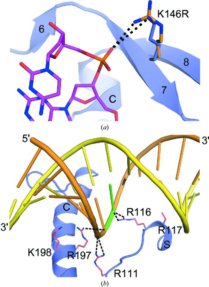 https://cdn.ncbi.nlm.nih.gov/pmc/blobs/305f/4220975/90d765b040ec/d-70-02937-fig7.jpg