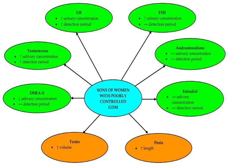 https://cdn.ncbi.nlm.nih.gov/pmc/blobs/3061/11644001/c88a3a6cfae3/nutrients-16-04145-g010.jpg