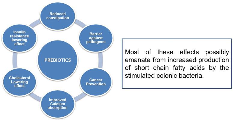 https://cdn.ncbi.nlm.nih.gov/pmc/blobs/3061/8276698/544a6cd29f16/fcimb-11-614963-g004.jpg