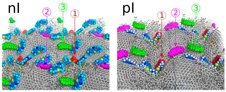 https://cdn.ncbi.nlm.nih.gov/pmc/blobs/3062/11679267/b9b5c72f0875/molecules-29-06030-g008.jpg