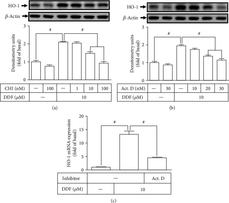 https://cdn.ncbi.nlm.nih.gov/pmc/blobs/3063/7732388/bac83114d476/OMCL2020-1080168.003.jpg