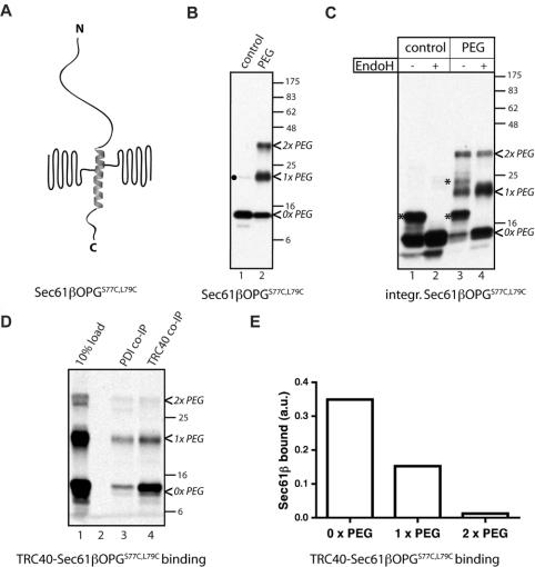 https://cdn.ncbi.nlm.nih.gov/pmc/blobs/3065/3198503/6f5b79821e37/bic163i003.jpg