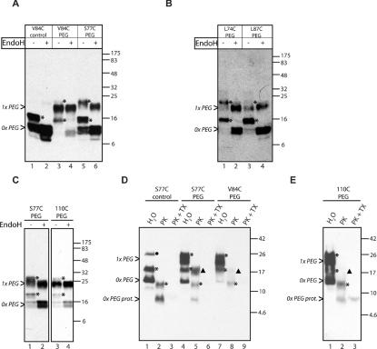 https://cdn.ncbi.nlm.nih.gov/pmc/blobs/3065/3198503/f995d5381b1c/bic163i005.jpg