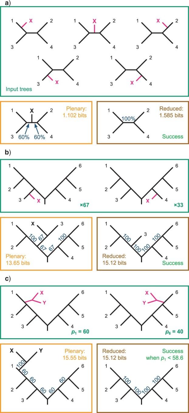 https://cdn.ncbi.nlm.nih.gov/pmc/blobs/3065/9366444/2f9c7608928b/syab099f2.jpg