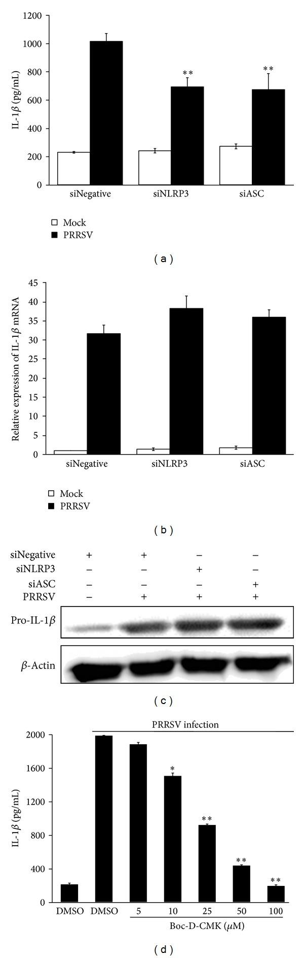 https://cdn.ncbi.nlm.nih.gov/pmc/blobs/3066/4055429/a852423988e7/MI2014-403515.007.jpg
