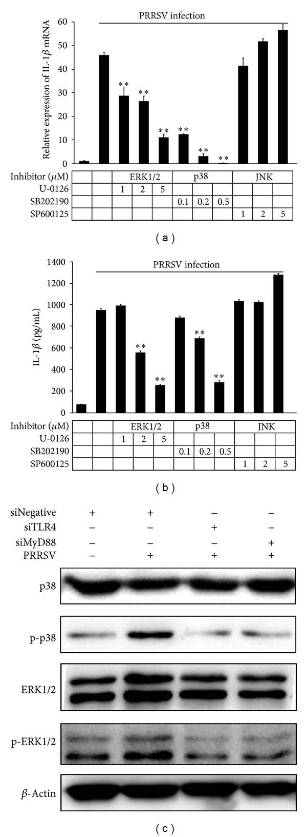 https://cdn.ncbi.nlm.nih.gov/pmc/blobs/3066/4055429/beff8ce78411/MI2014-403515.006.jpg