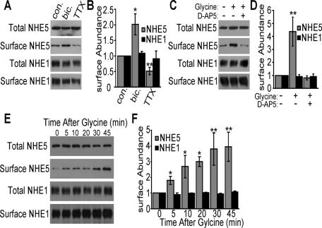 https://cdn.ncbi.nlm.nih.gov/pmc/blobs/3067/3128527/d0bfb9f2f2af/2246fig2.jpg