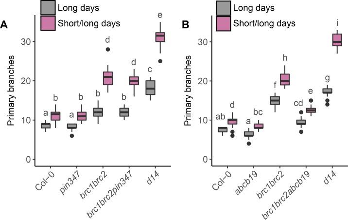 https://cdn.ncbi.nlm.nih.gov/pmc/blobs/3067/6433298/6b6937ee2383/pgen.1008023.g007.jpg