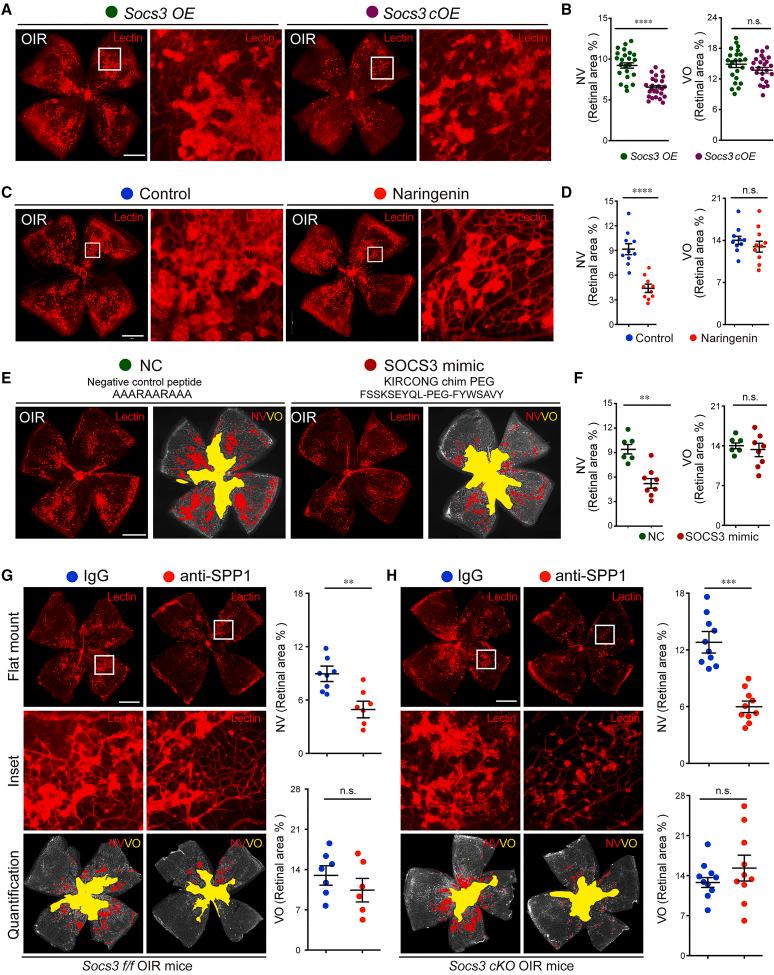 https://cdn.ncbi.nlm.nih.gov/pmc/blobs/3068/11081920/0e1e521ff7f6/gr7.jpg