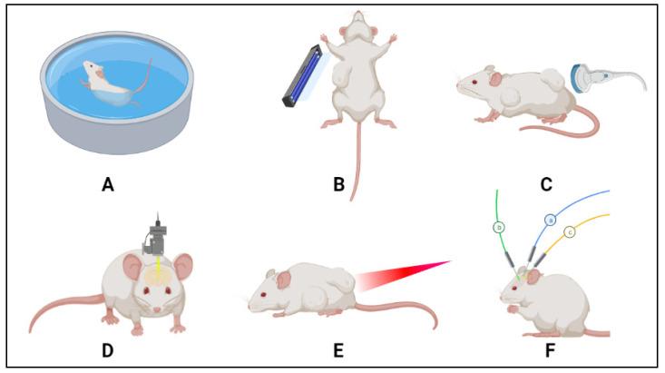 https://cdn.ncbi.nlm.nih.gov/pmc/blobs/306a/8912701/8fe455c8a3d8/polymers-14-00925-g009.jpg