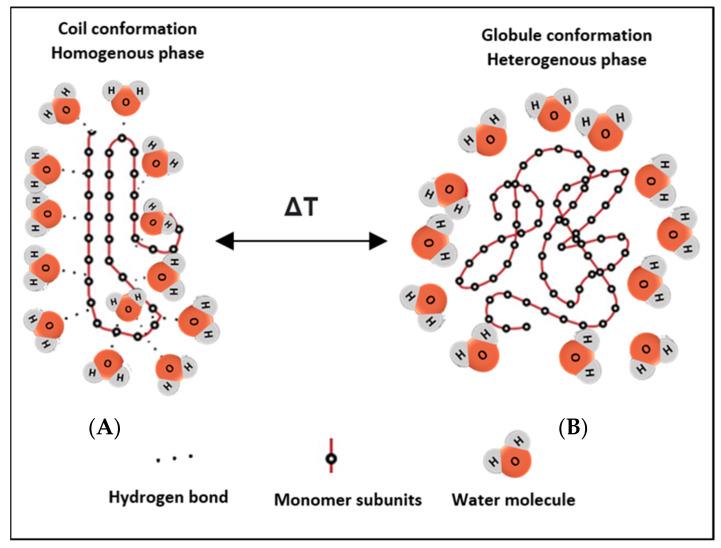 https://cdn.ncbi.nlm.nih.gov/pmc/blobs/306a/8912701/9595e05230c9/polymers-14-00925-g001.jpg
