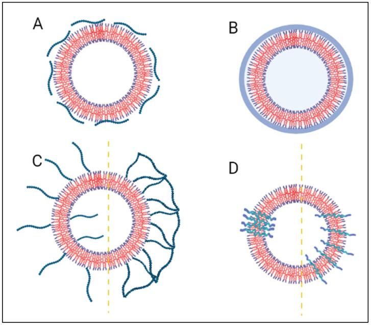 https://cdn.ncbi.nlm.nih.gov/pmc/blobs/306a/8912701/bea40b4aac78/polymers-14-00925-g007.jpg