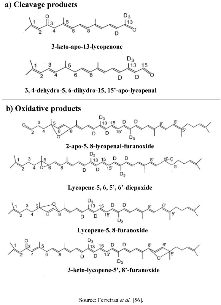 https://cdn.ncbi.nlm.nih.gov/pmc/blobs/306c/6263198/3d00b61c1d55/molecules-15-00959-g002.jpg