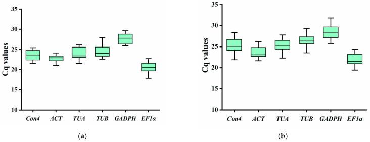 https://cdn.ncbi.nlm.nih.gov/pmc/blobs/306e/10530681/07d421598764/genes-14-01739-g002.jpg