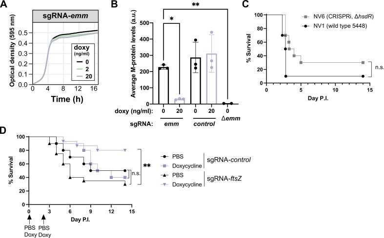 https://cdn.ncbi.nlm.nih.gov/pmc/blobs/306f/11323564/aa1bf86dd6ec/mbio.00840-24.f005.jpg