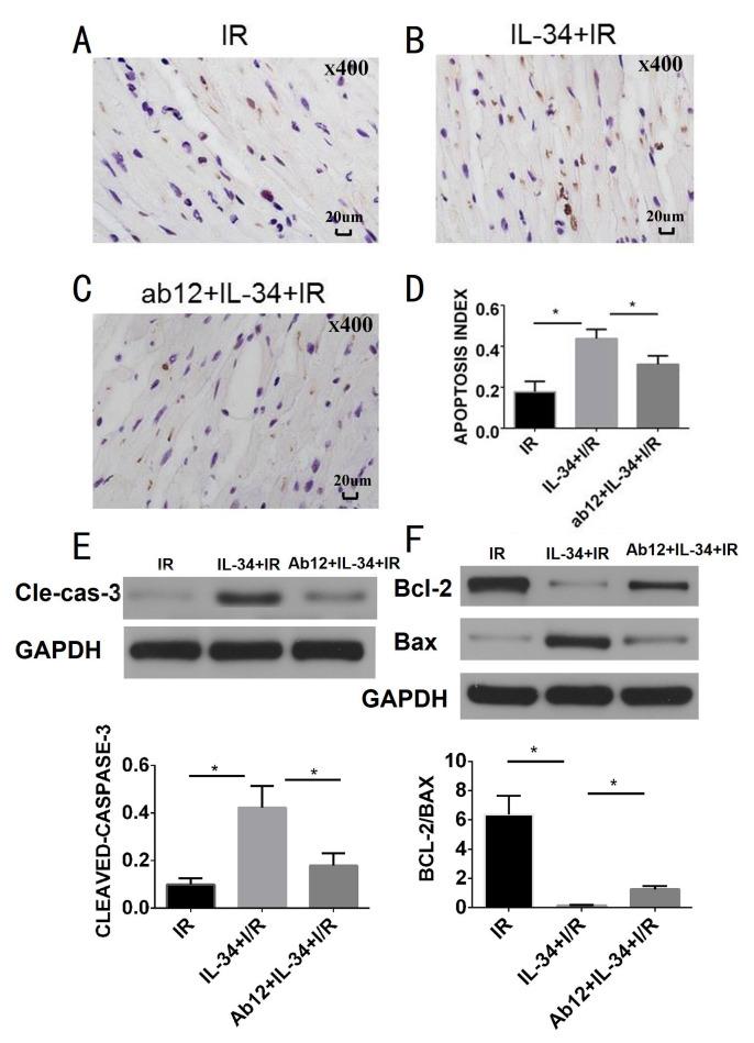 https://cdn.ncbi.nlm.nih.gov/pmc/blobs/306f/11781702/4e3b38f6d656/pone.0315489.g003.jpg