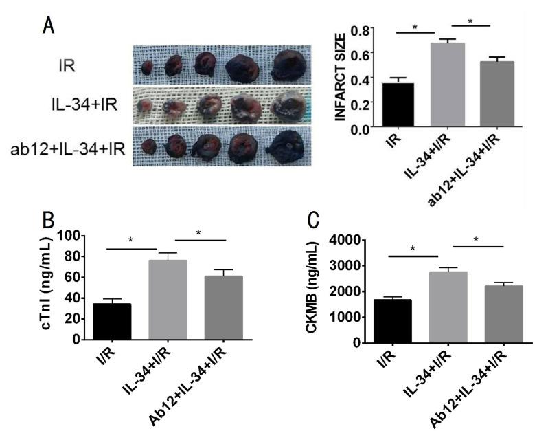 https://cdn.ncbi.nlm.nih.gov/pmc/blobs/306f/11781702/6a1bd5e1e4a7/pone.0315489.g002.jpg