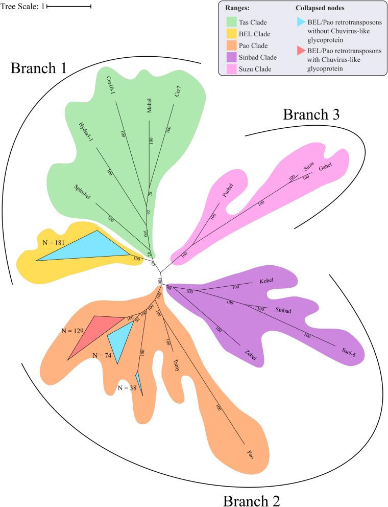 https://cdn.ncbi.nlm.nih.gov/pmc/blobs/306f/7642597/e5d5a145a075/fgene-11-542437-g006.jpg