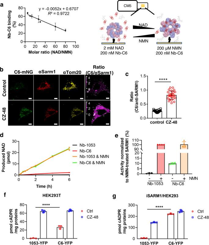 https://cdn.ncbi.nlm.nih.gov/pmc/blobs/306f/9780360/2cde6f358d34/41467_2022_35581_Fig2_HTML.jpg
