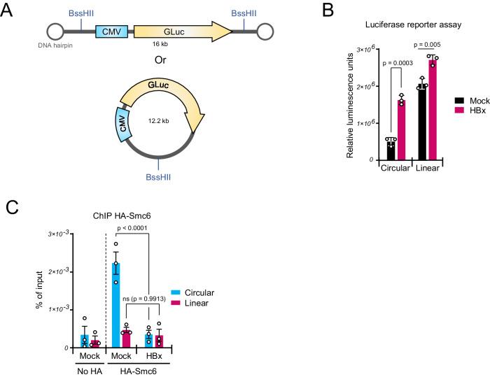 https://cdn.ncbi.nlm.nih.gov/pmc/blobs/3072/11379904/a93ae50068ce/41467_2024_50646_Fig2_HTML.jpg